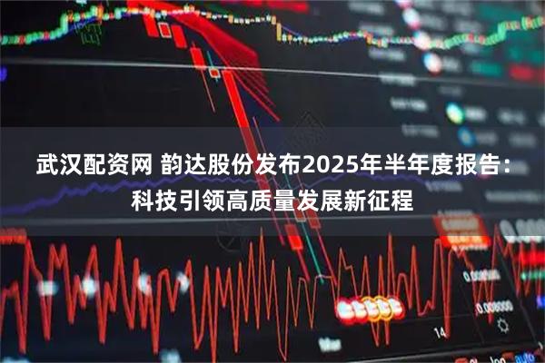 武汉配资网 韵达股份发布2025年半年度报告：科技引领高质量发展新征程