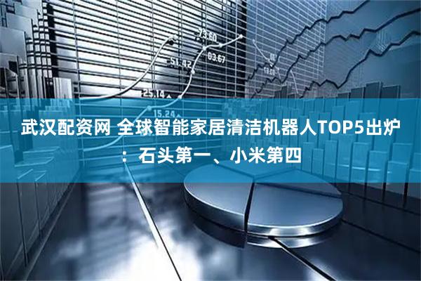 武汉配资网 全球智能家居清洁机器人TOP5出炉：石头第一、小米第四